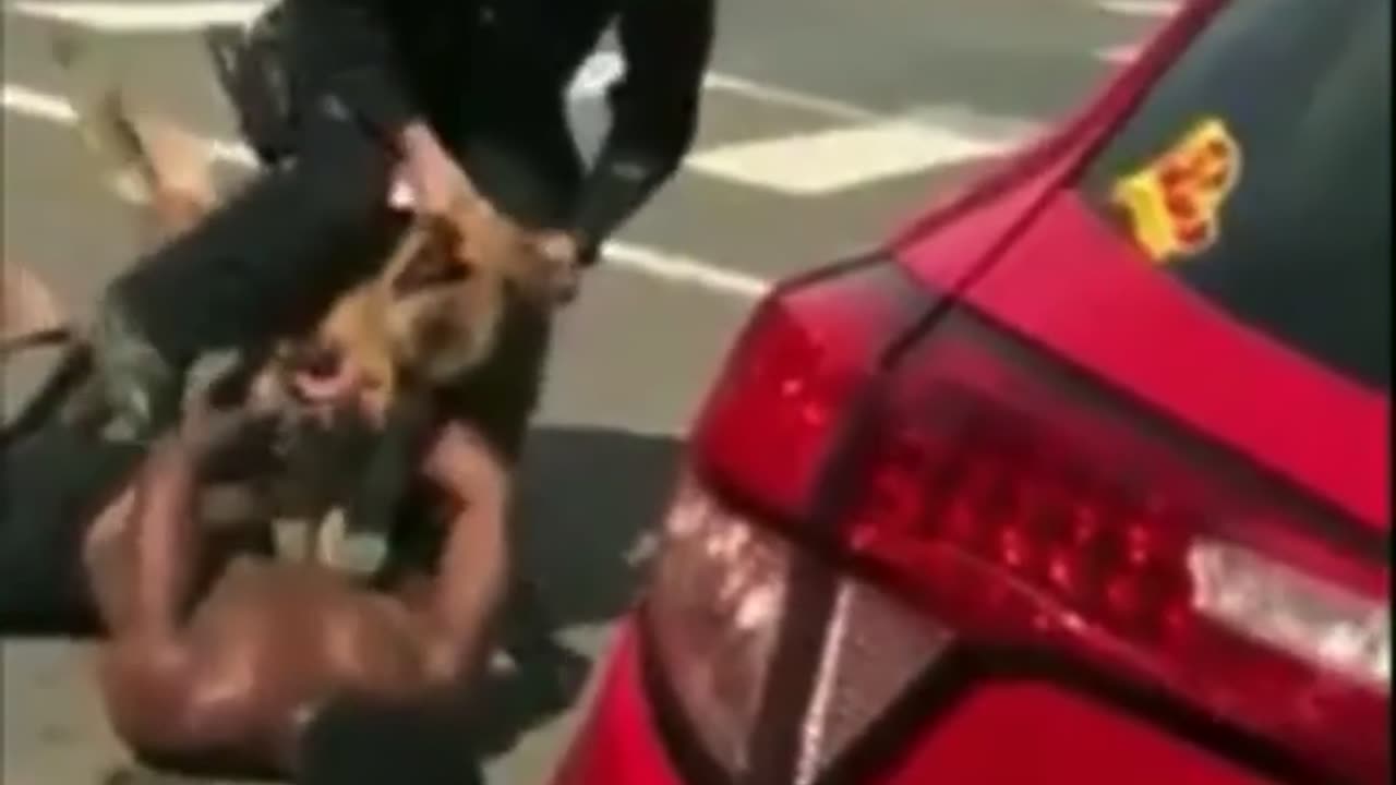 POLICE LET K9 ATTACK MAN!