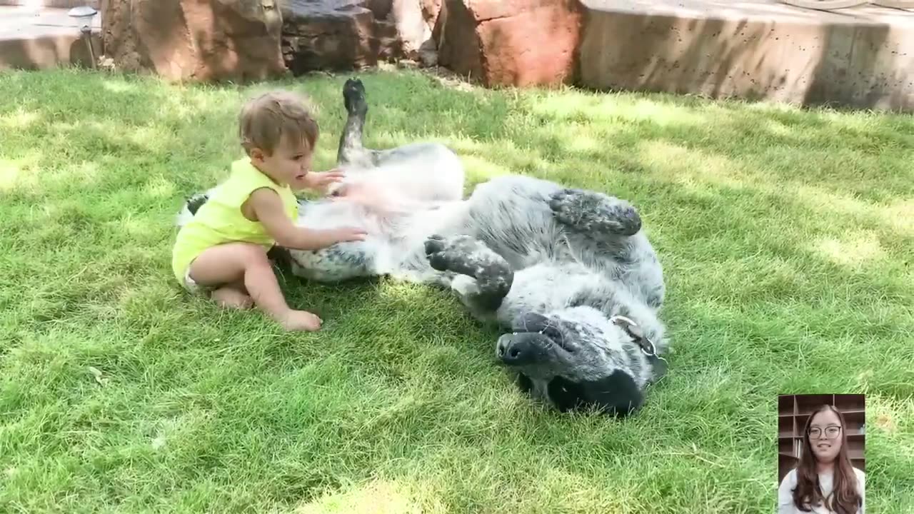 baby playing with dogs