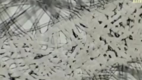 Graphene Fibres in Tampons