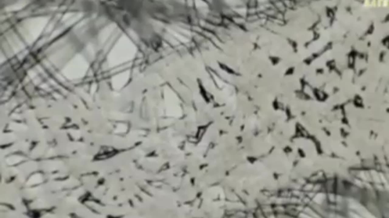 Graphene Fibres in Tampons