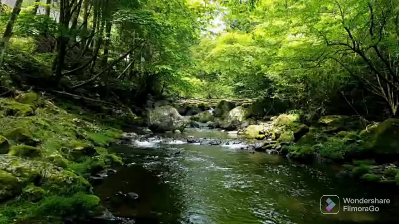 Nature Beauty