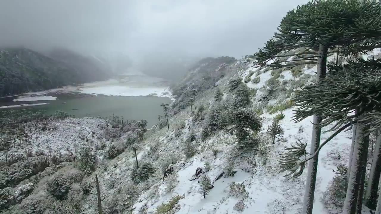 Chile's Natural Wonders Unveiled