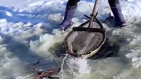 The soup was concocted from up to a dozen different kinds of fish.