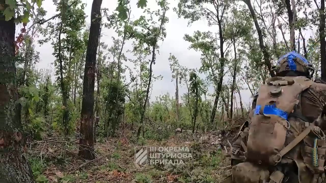 Clearance of enemy positions near Bakhmut