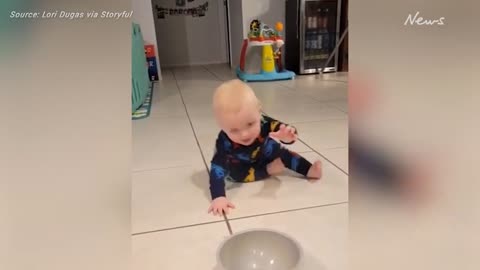 Baby learning to crawl adorably copies paralysed dog's scooting