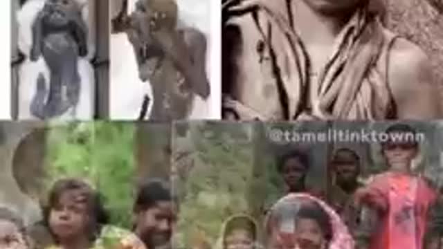 THE ORIGINAL PEOPLE OF CHINA WERE MOORS.