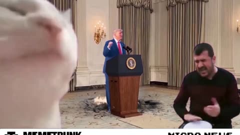 Flip it⚡️⚡️⚡️