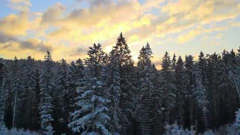 Tim Janis - Beautiful Relaxing Hymns, Peaceful Calm Instrumental Music, Winter Morning Sunrise