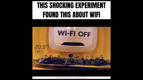 WIFI EXPERIMENT