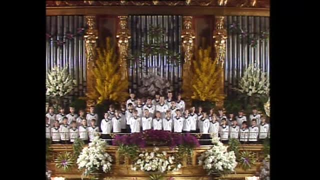 Vienna New Year's Concert (1982)