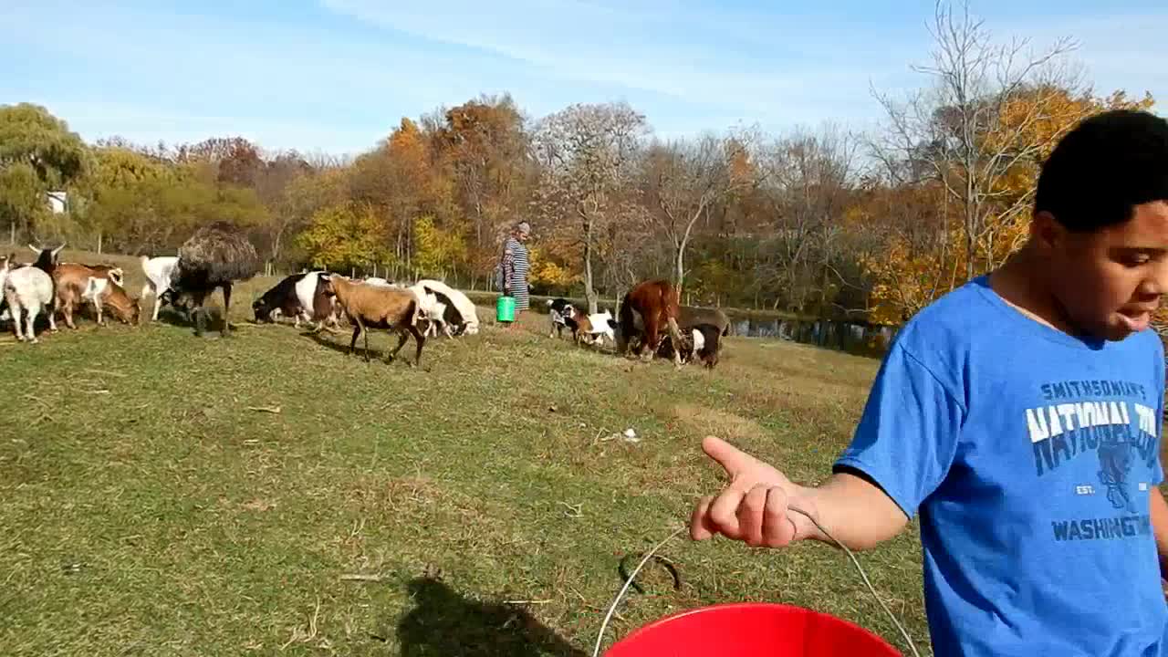 Chores Are Funny Sometimes