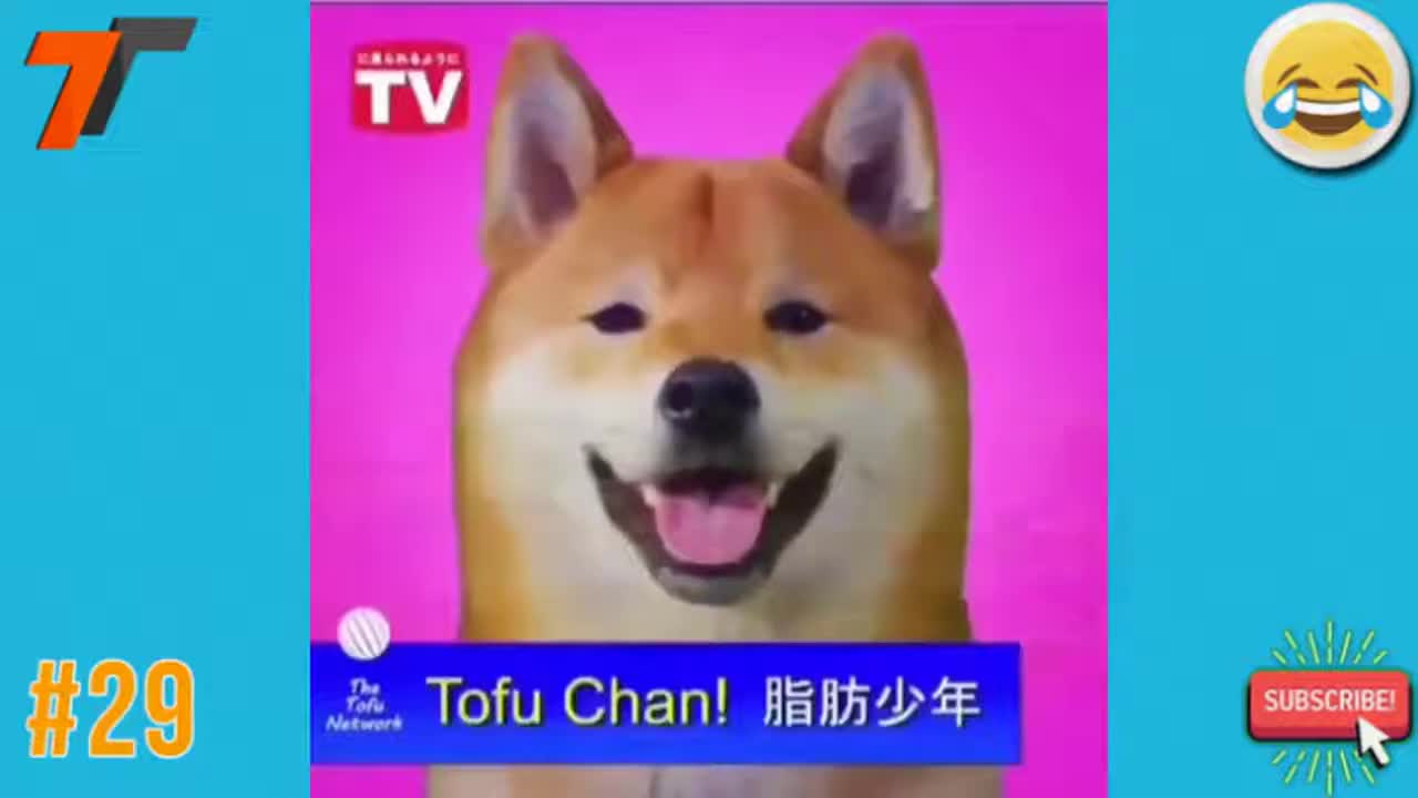 you laugh you lose #1