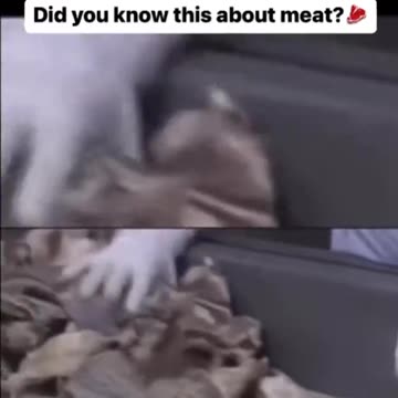 Did You Know This About Hamburger Meat?