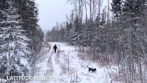 Snowy northern BC