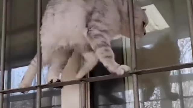 Furry snake...ππΎππ