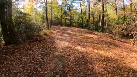 New Trail Route in the Fall
