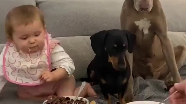 Family feeding time.. 😅