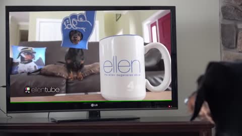 Crusoe on Ellen DeGeneres Show!!!
