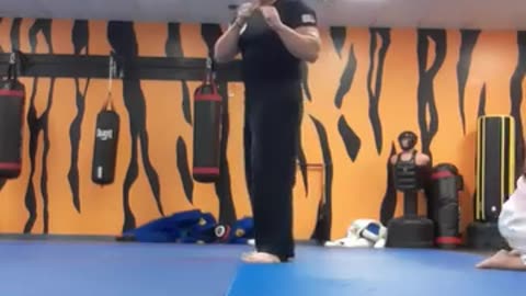 Tong Hap Kwan Hapkido Kicking Techniques