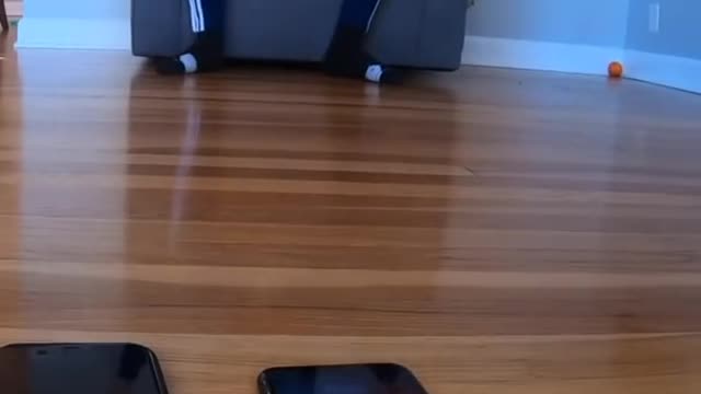 Impossible iPhone Trick Shot