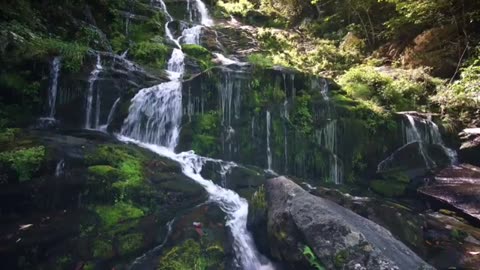 Landscape waterfall in a forest and trees for rest