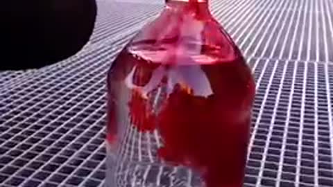 Balloon Experiment with Bottle