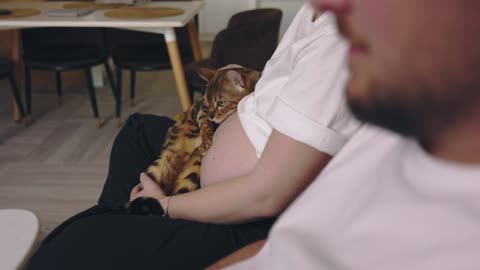 A_Pregnant_woman _and _the cat _is _playing #