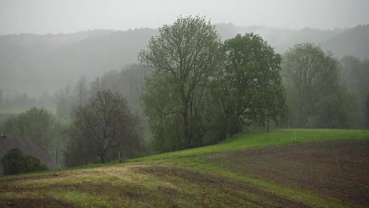 Rain HD for 4 hours 4 minutes 4 seconds and 4 milliseconds - Long Videos