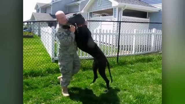 Animals Reunited With Owners After YEARS 😘😍❤