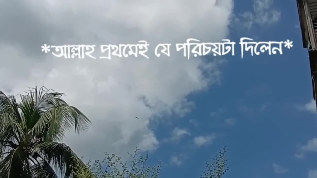 গুরুত্বপূর্ণ নীতি এবং ইসলামিক বাক্য