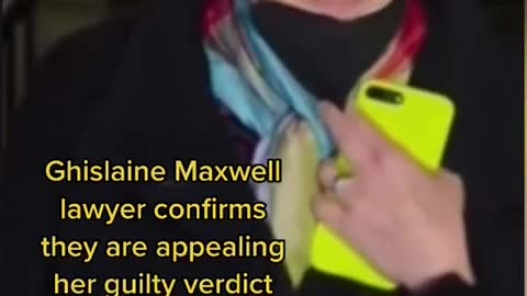 Dammmmm Ghislaines lawyer has purple hair and the crazy eyes! 🤣