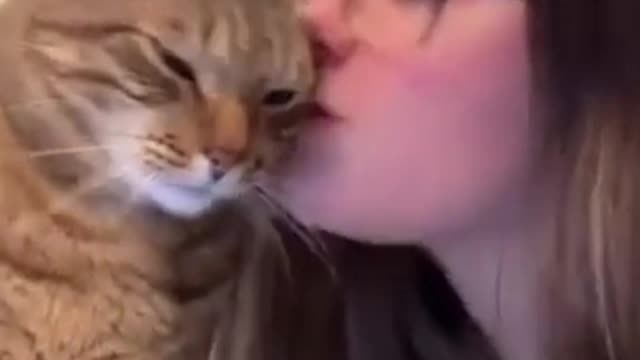 Fluffy / Funny Cats
