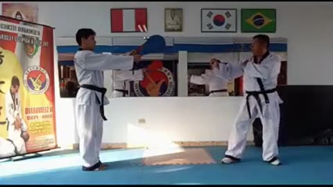 Hapkido