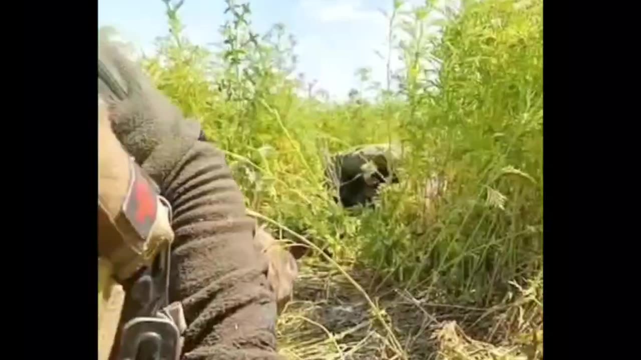 Ukrainian report from the meat grinder, the last words from a Ukrainian militant