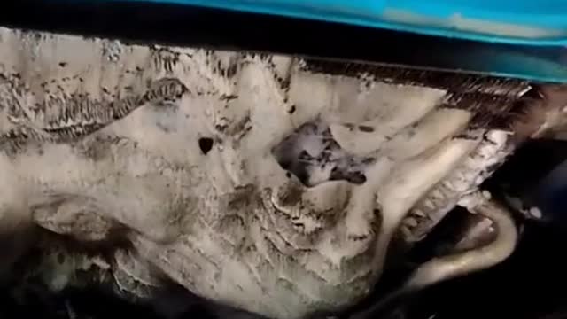 Cleaning and repairing automobile condenser