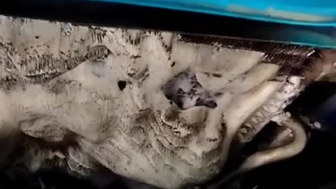 Cleaning and repairing automobile condenser