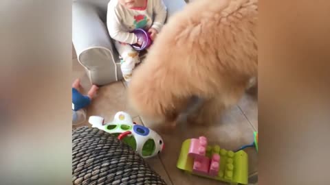 Kid Shares Food with Dog