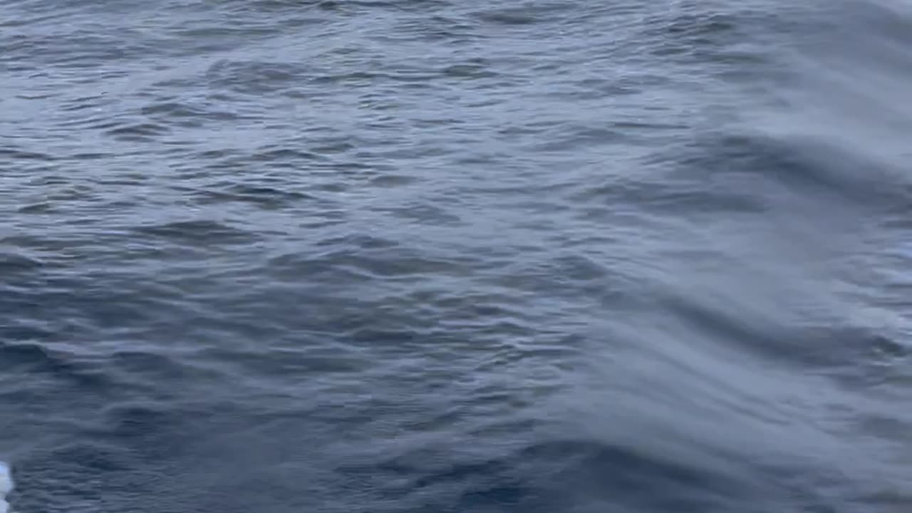 First video here - Roatan to Utila Heavy waved