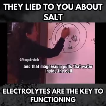 They lie about everything, even SALT!