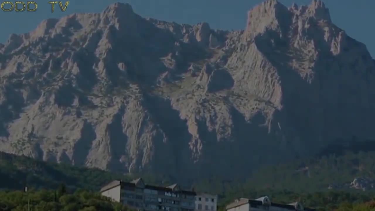 Ancient Tree Research Project | Giant Cedars of Lebanon Part 2
