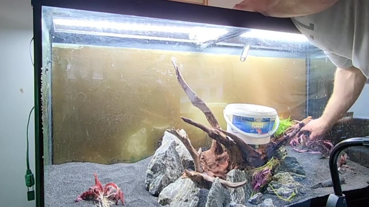 "Aquascape Transformation in 5 Minutes"