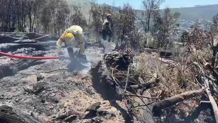 Vegetation fire on slopes of Table Mountain extinguished