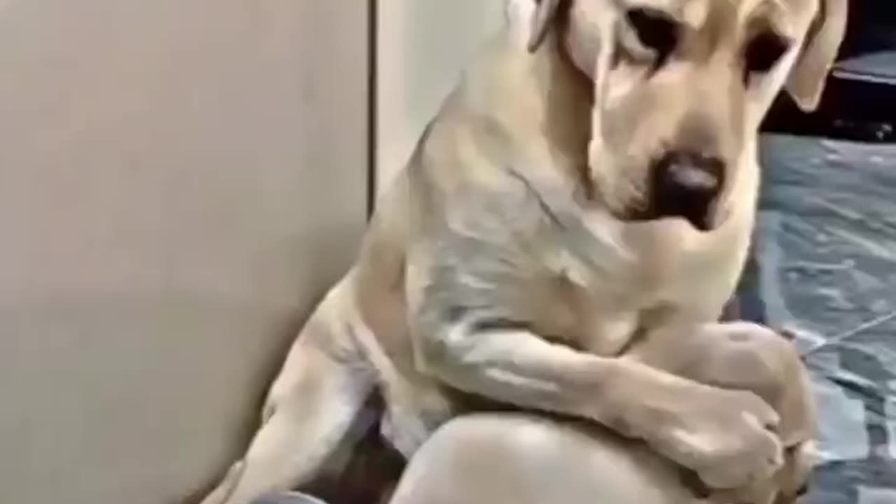 Don’t hit my son chino