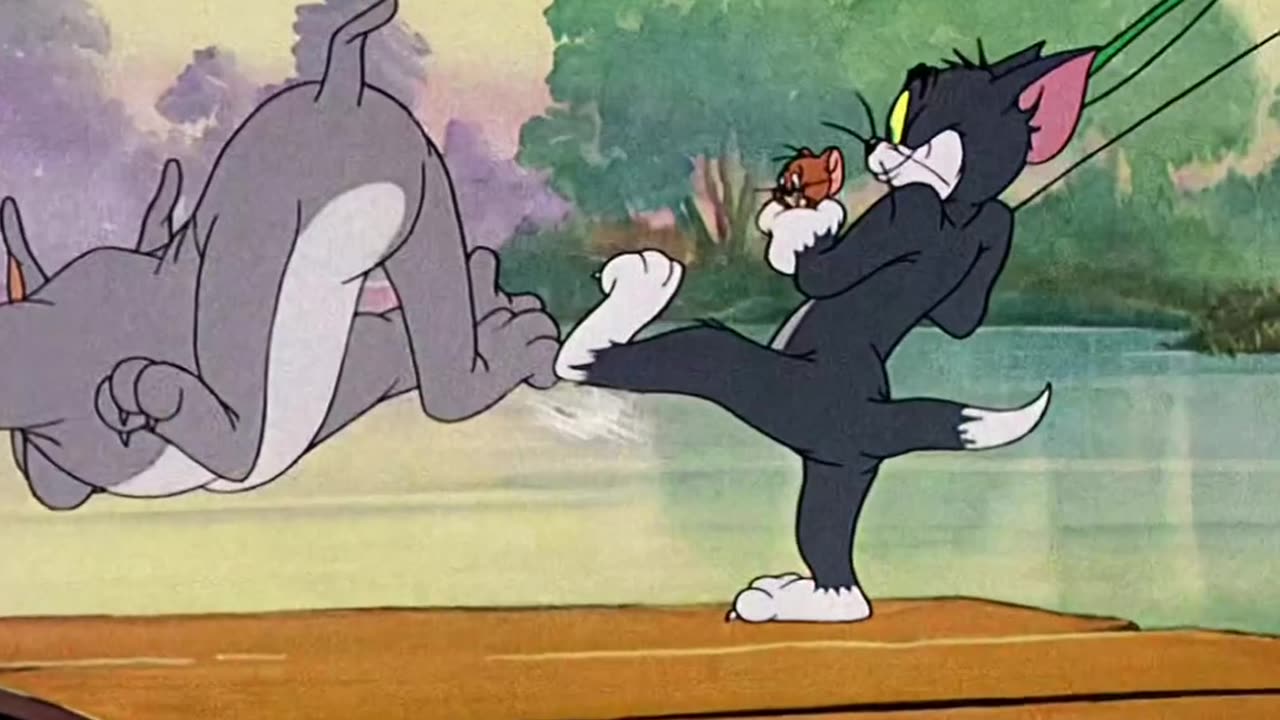 Funny cartoon video tom and jerry