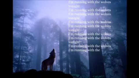 No Ads, Shamanic Journey for MA LA MA Seal ( Hawaii ) - 8 June 2023💙