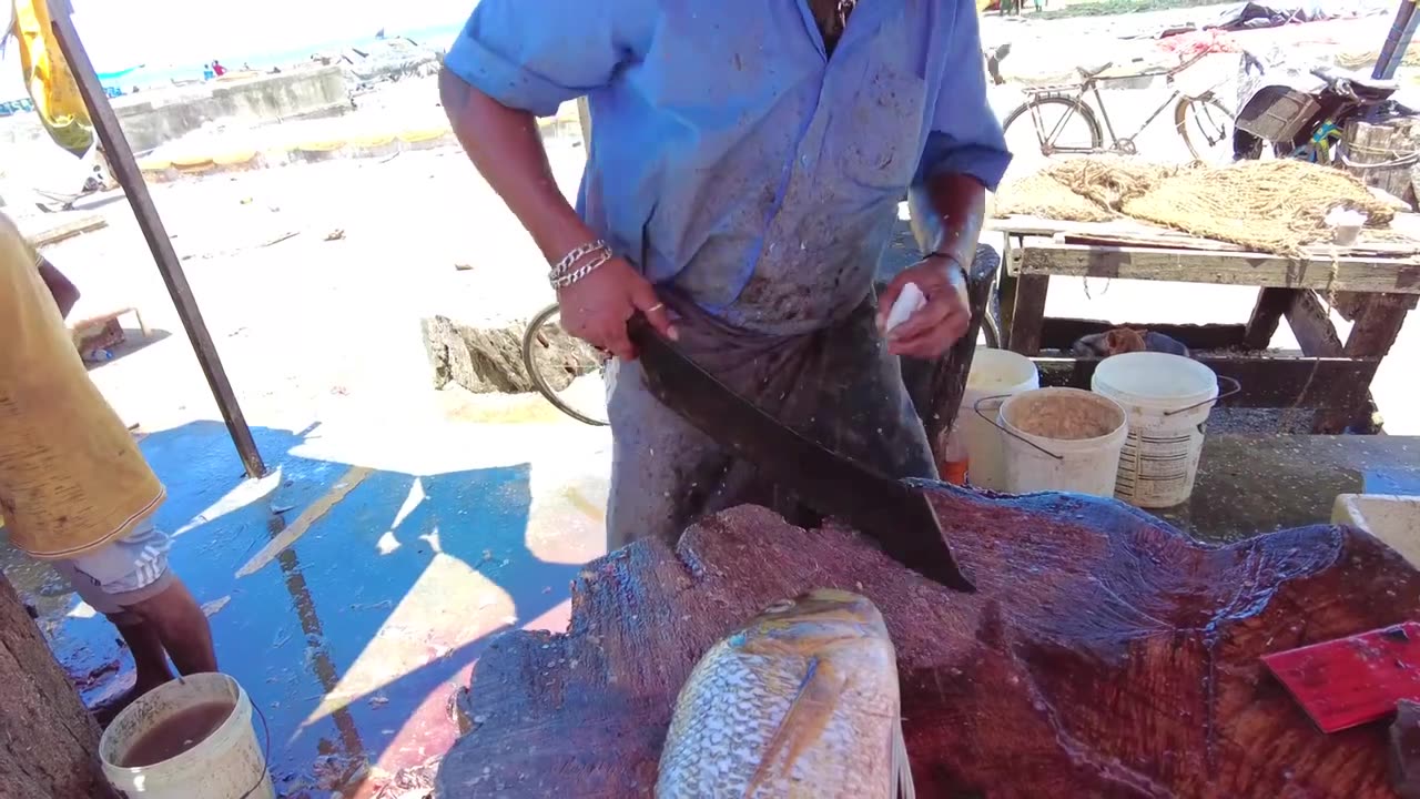 Amazing Fish Cutting Skills By Ravi