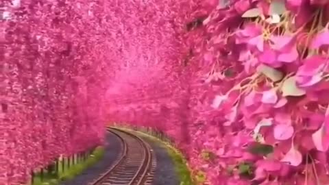 BEUTIFUL