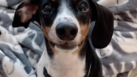 Hello my name is Milly