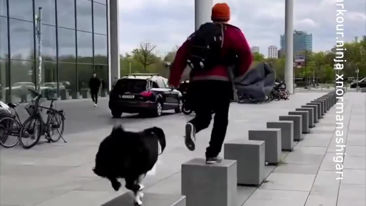 in sync barkour