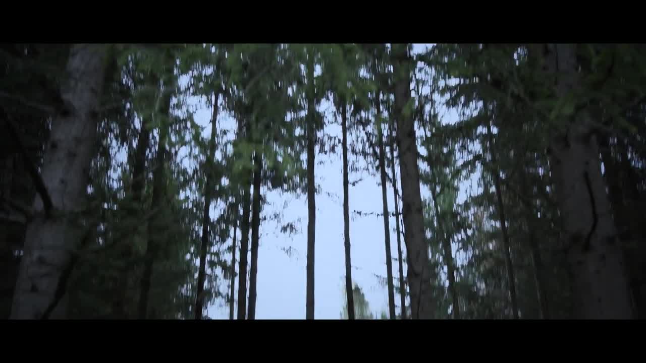 THE FOREST | Horror Short Film